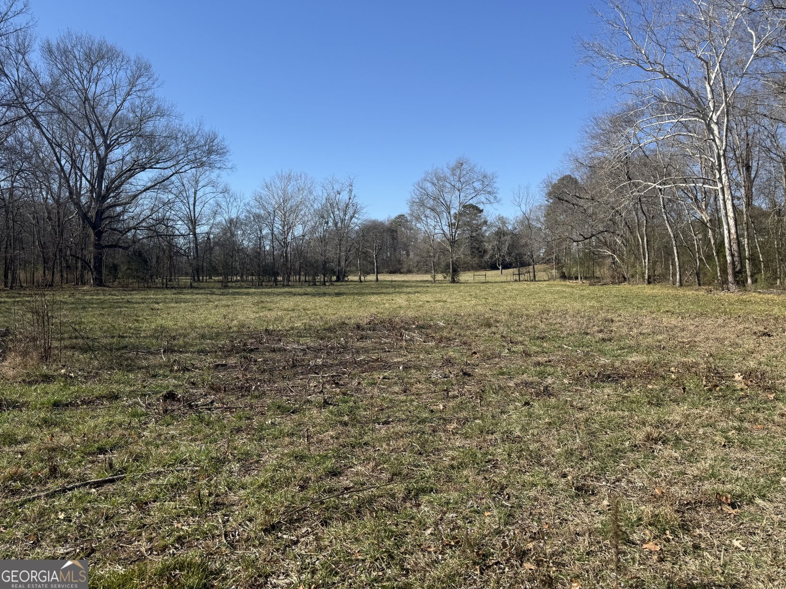 2053 Buttermilk Road Cave Spring - Photo 61