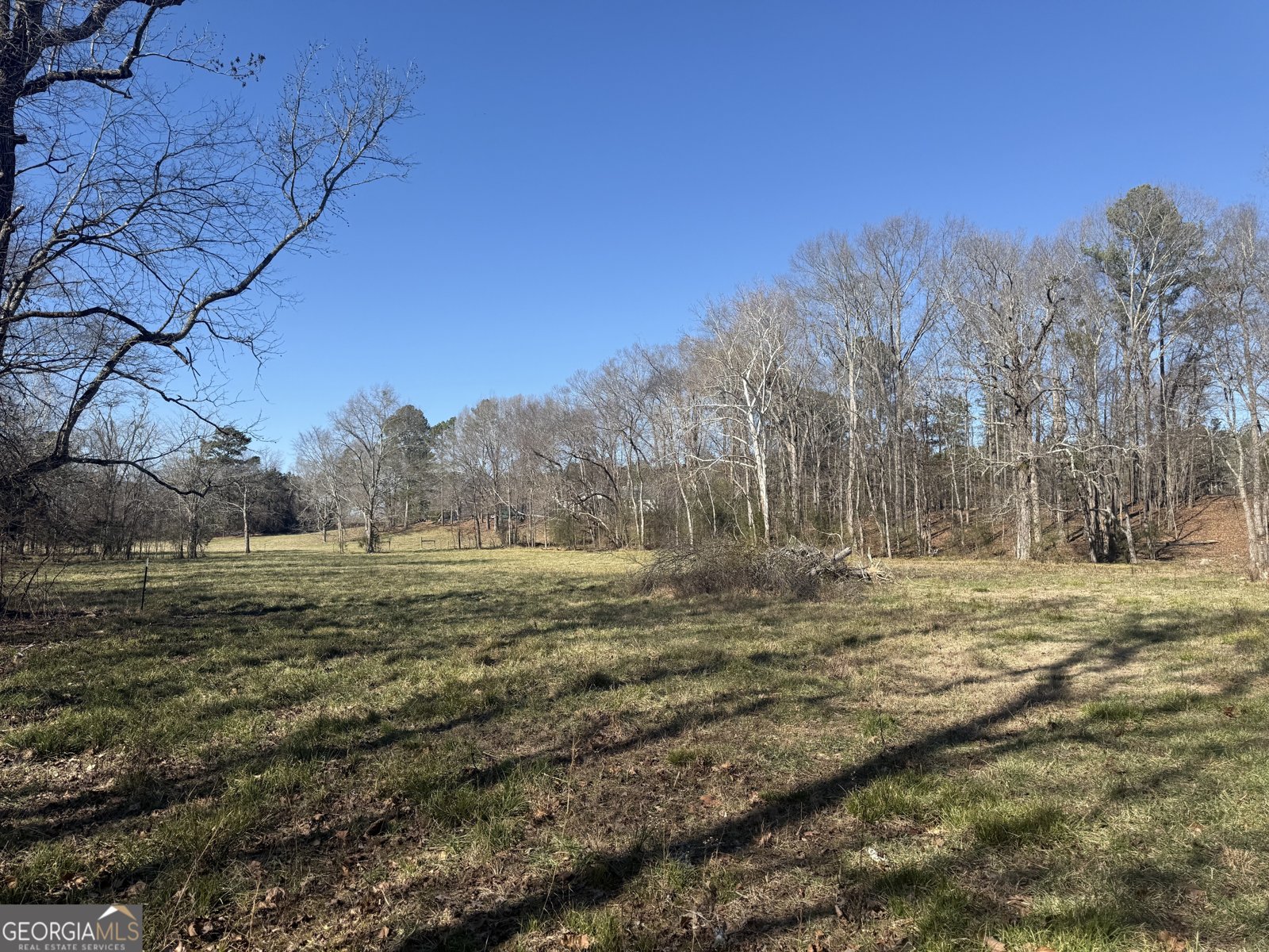 2053 Buttermilk Road Cave Spring - Photo 62