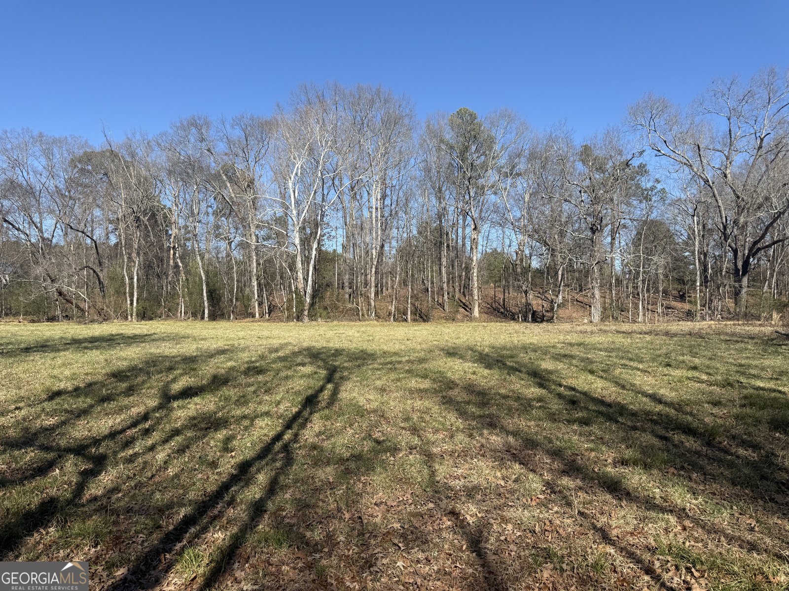 2053 Buttermilk Road Cave Spring - Photo 63