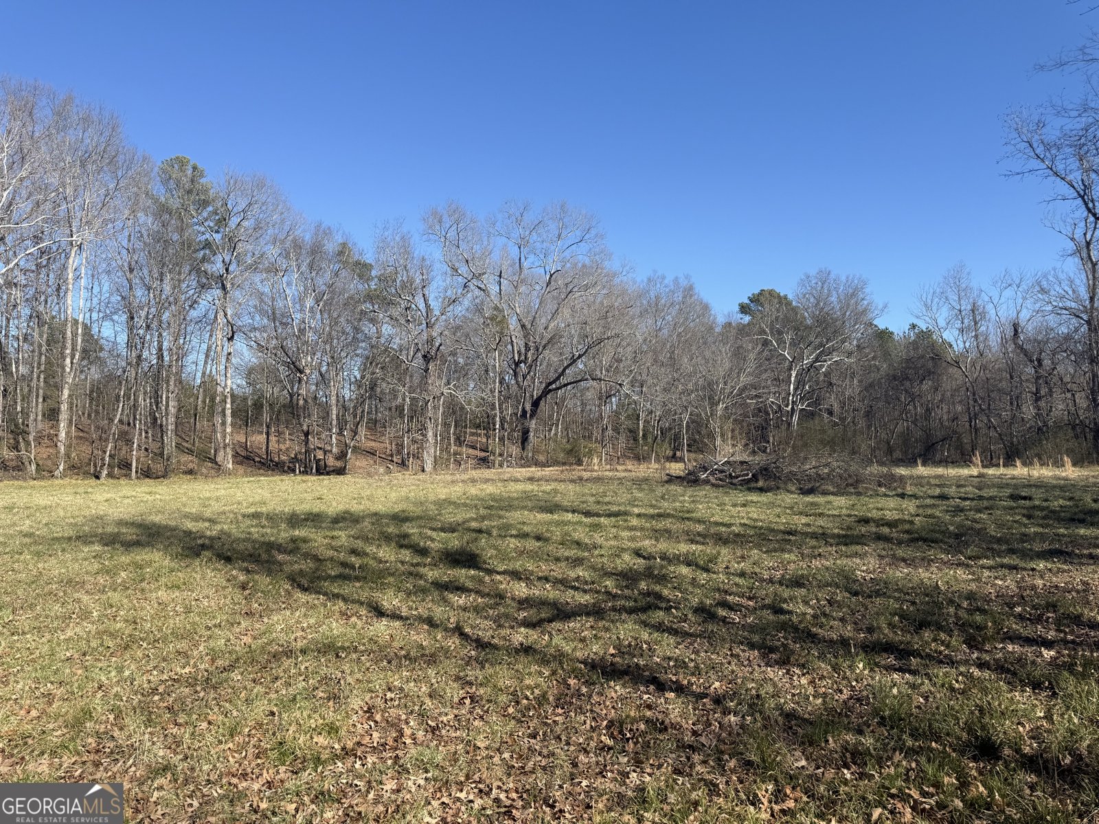 2053 Buttermilk Road Cave Spring - Photo 64