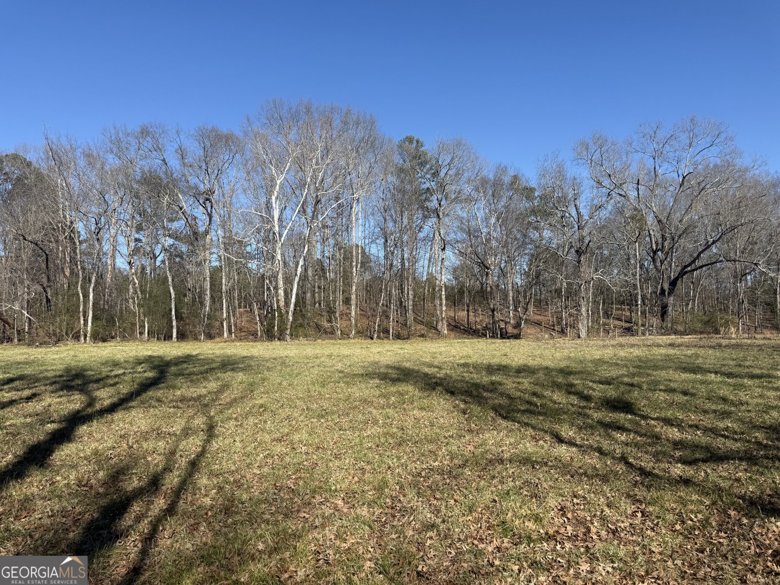 2053 Buttermilk Road Cave Spring - Photo 65