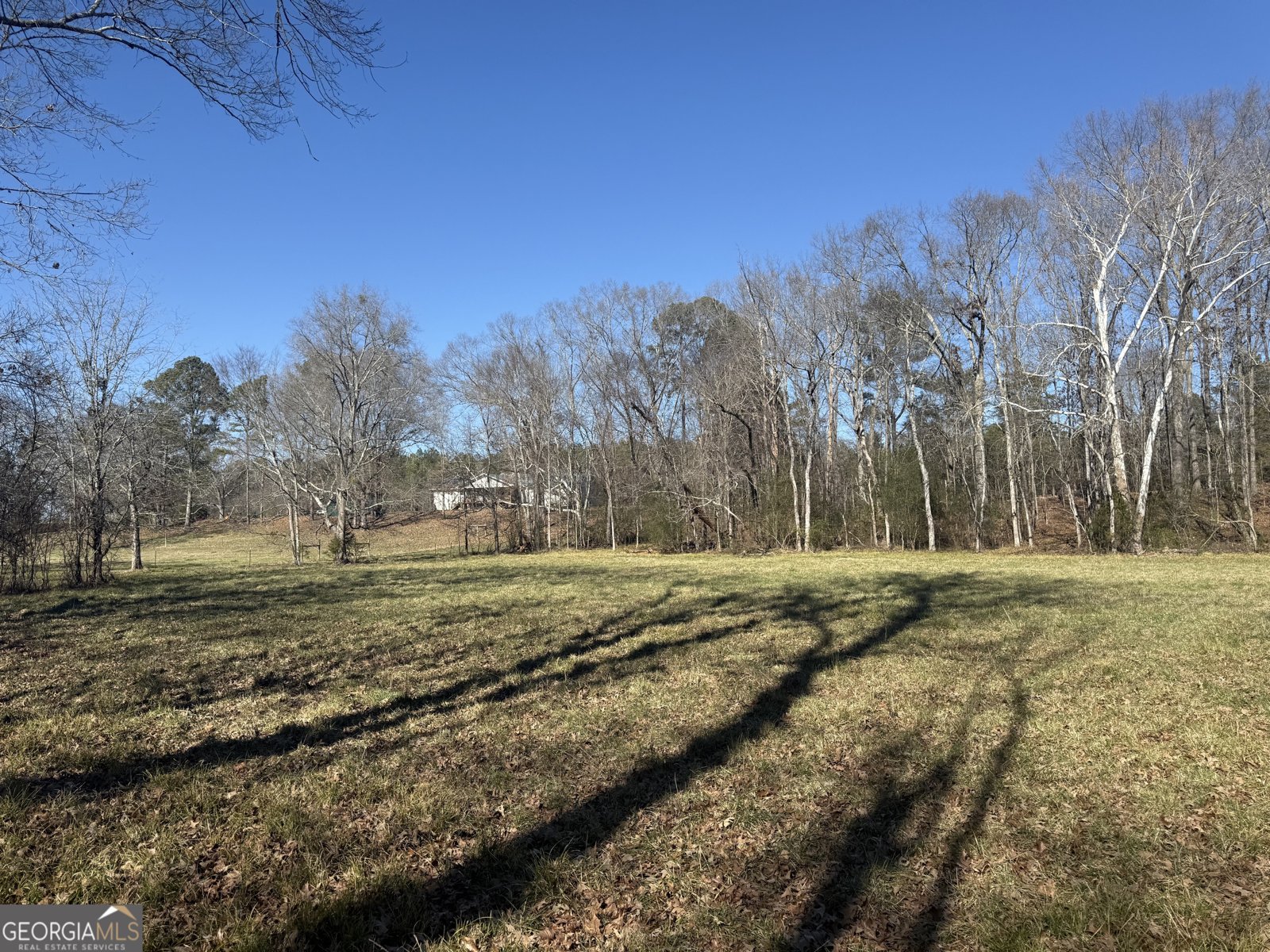 2053 Buttermilk Road Cave Spring - Photo 66