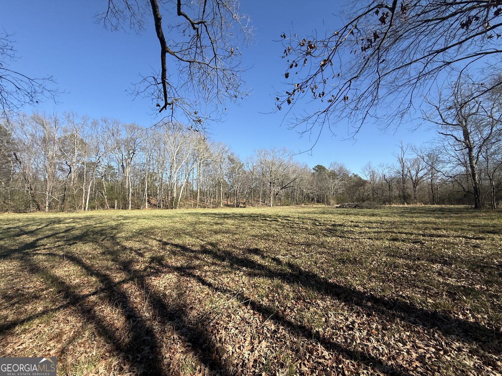 2053 Buttermilk Road Cave Spring - Photo 67