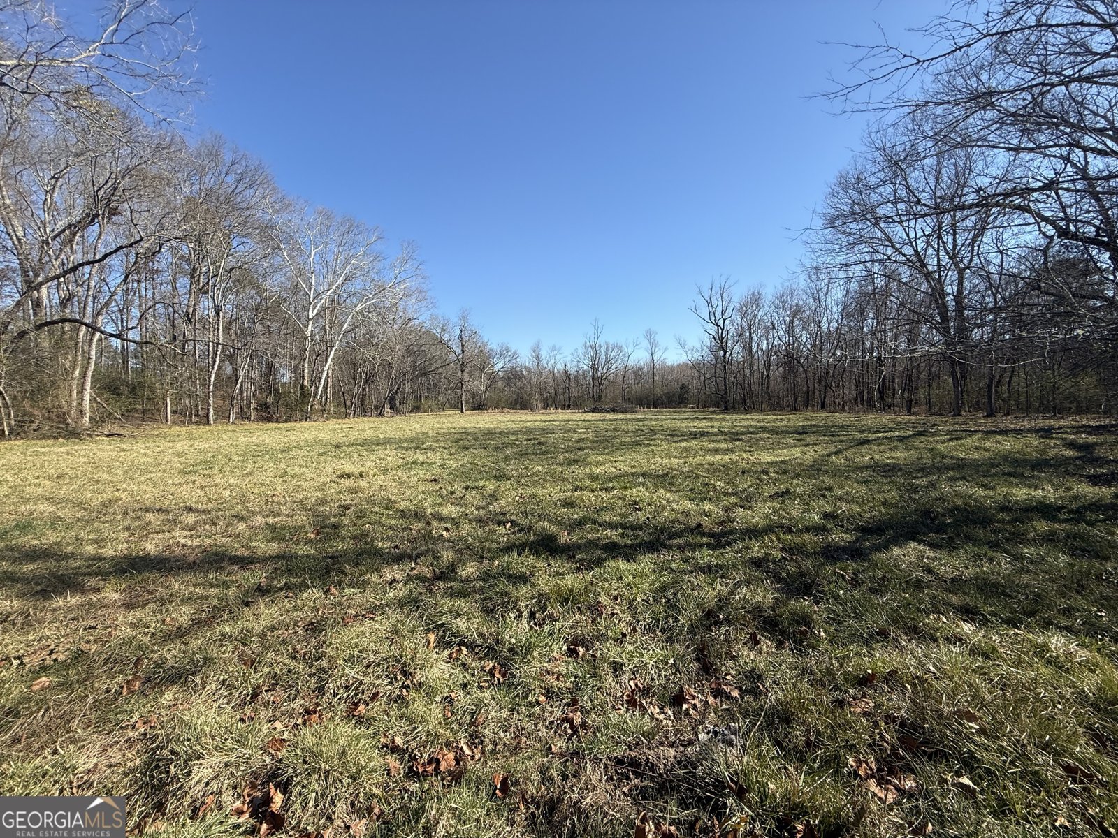 2053 Buttermilk Road Cave Spring - Photo 69