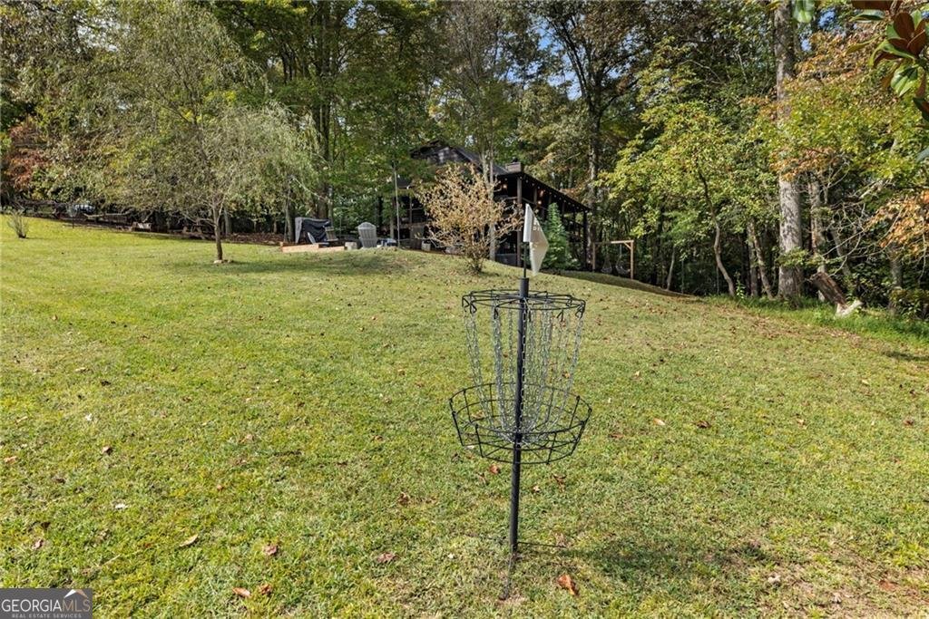 120 Brookhaven Trail Blue Ridge - 51