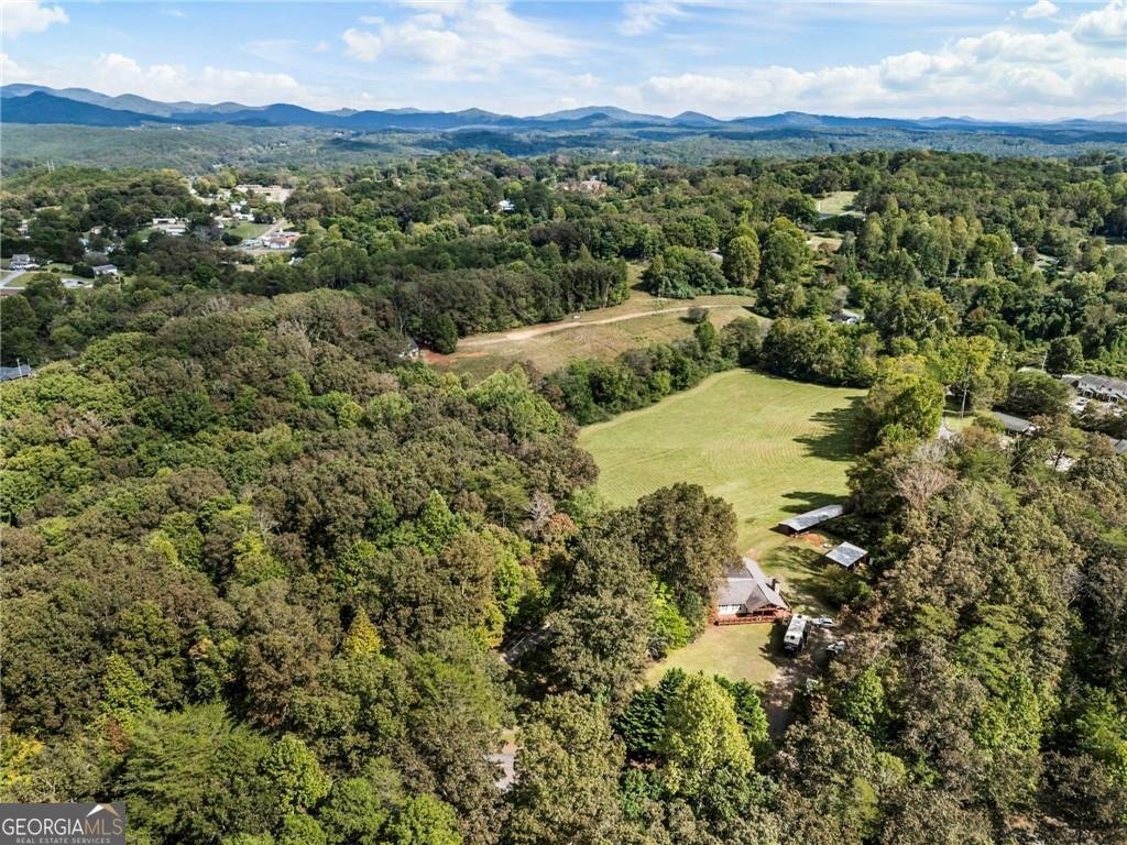 120 Brookhaven Trail Blue Ridge - 53