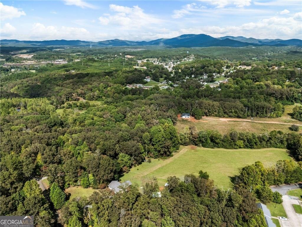 120 Brookhaven Trail Blue Ridge - 54