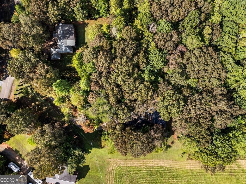 120 Brookhaven Trail Blue Ridge - 55