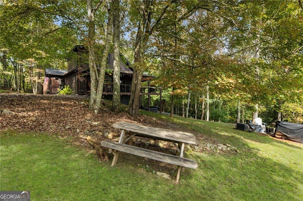 120 Brookhaven Trail Blue Ridge - 56