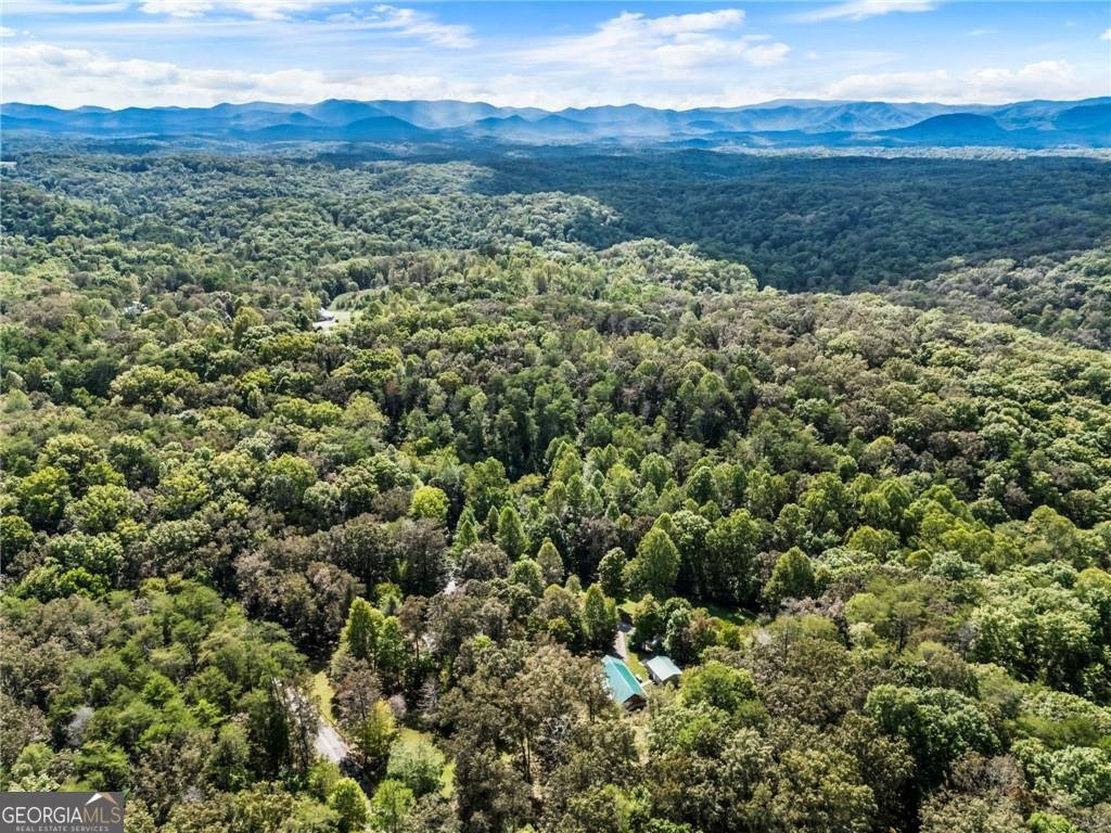 120 Brookhaven Trail Blue Ridge - 57