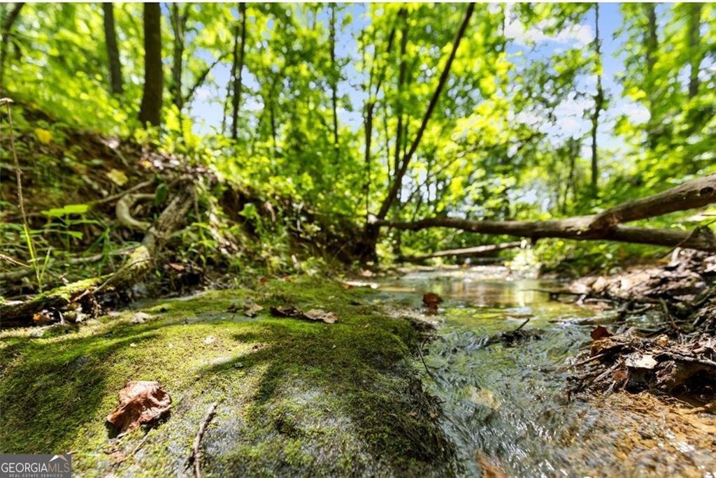 120 Brookhaven Trail Blue Ridge - 62