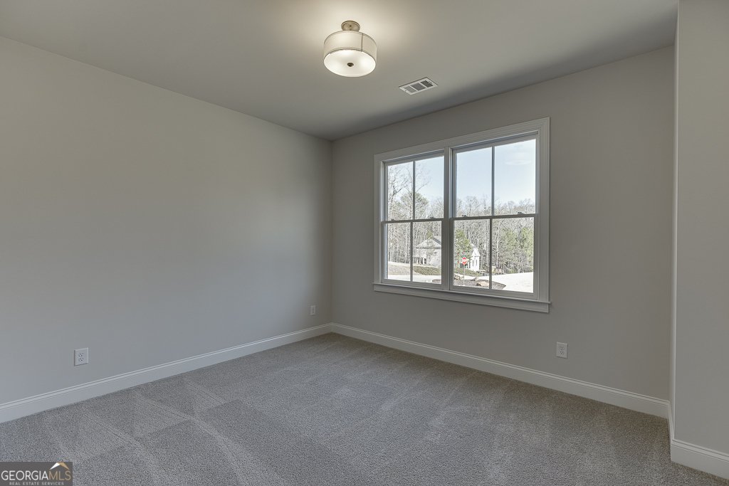 1041 Riverhill Drive Bishop - 28