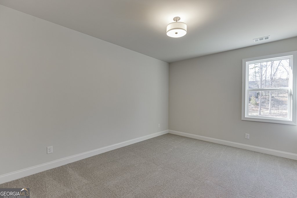 1041 Riverhill Drive Bishop - 33