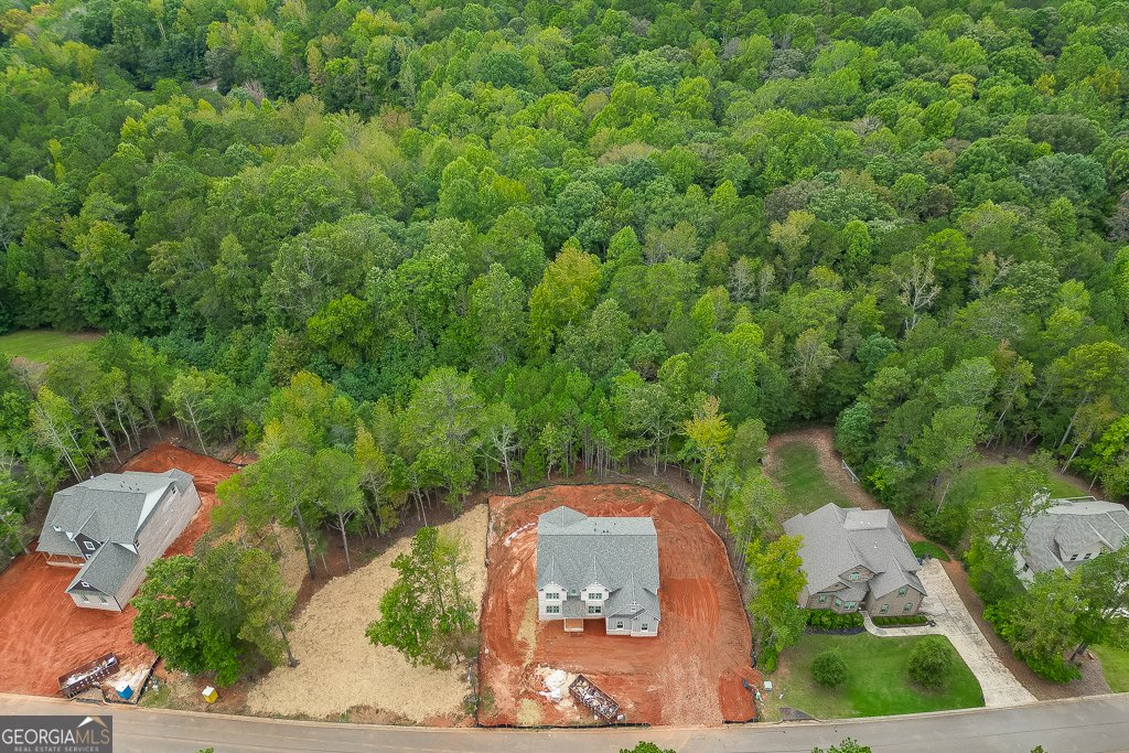 1251 Riverhill Drive Bishop - 42