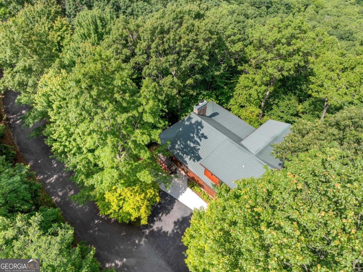 195 Hoot Owl Ridge Morganton - 43