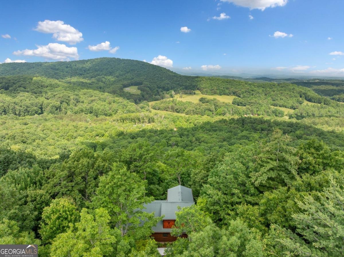 195 Hoot Owl Ridge Morganton - 44