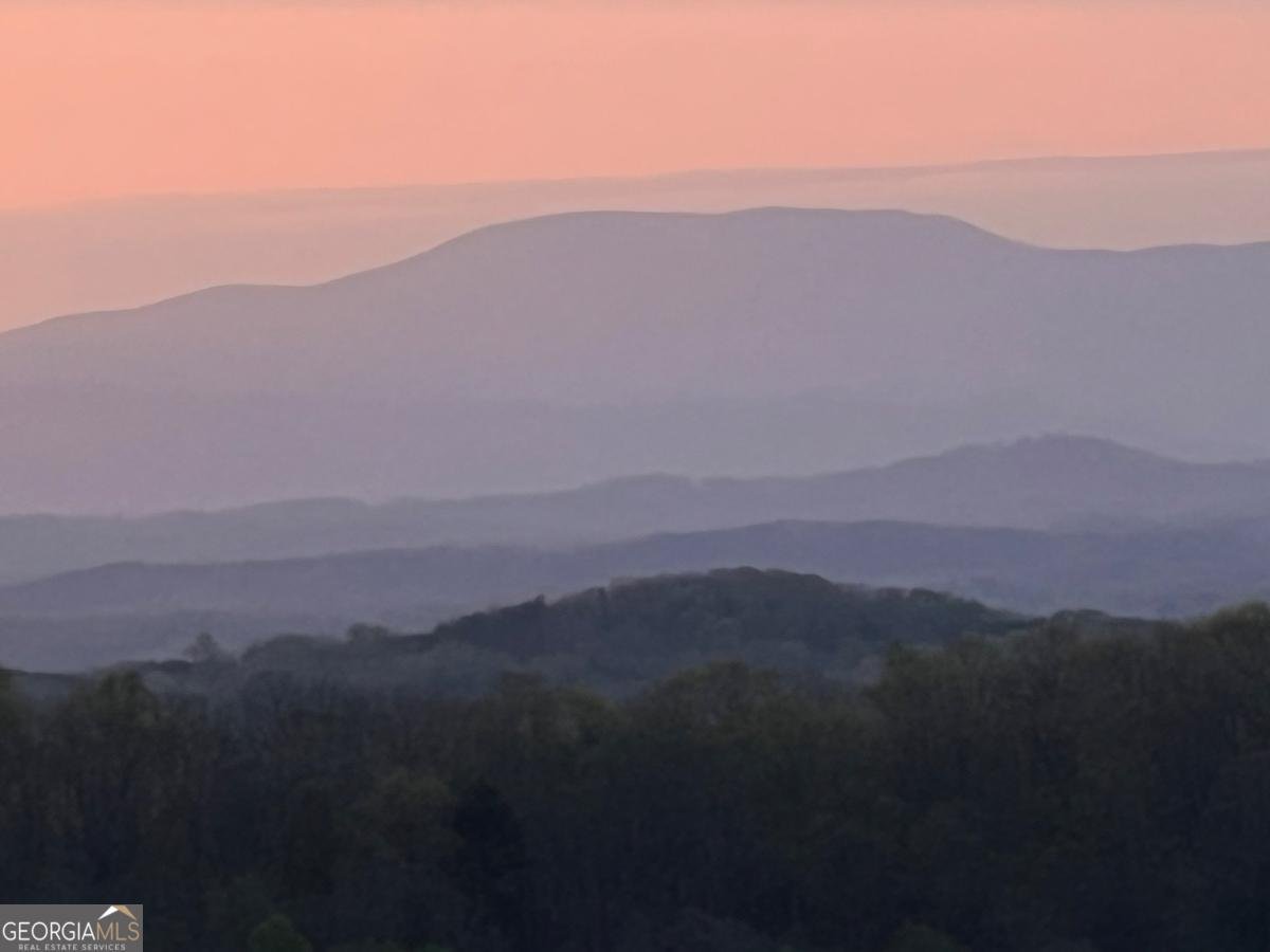 195 Hoot Owl Ridge Morganton - 45