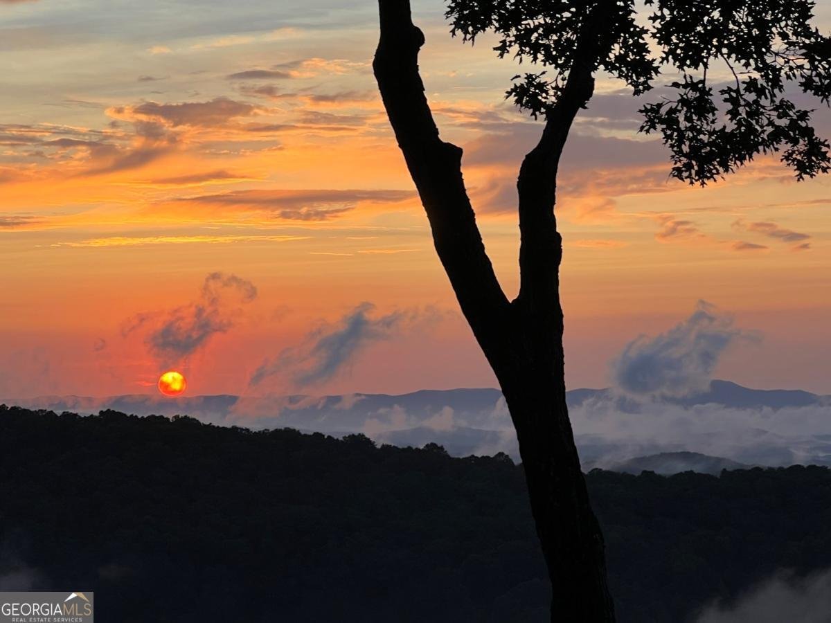 195 Hoot Owl Ridge Morganton - 47