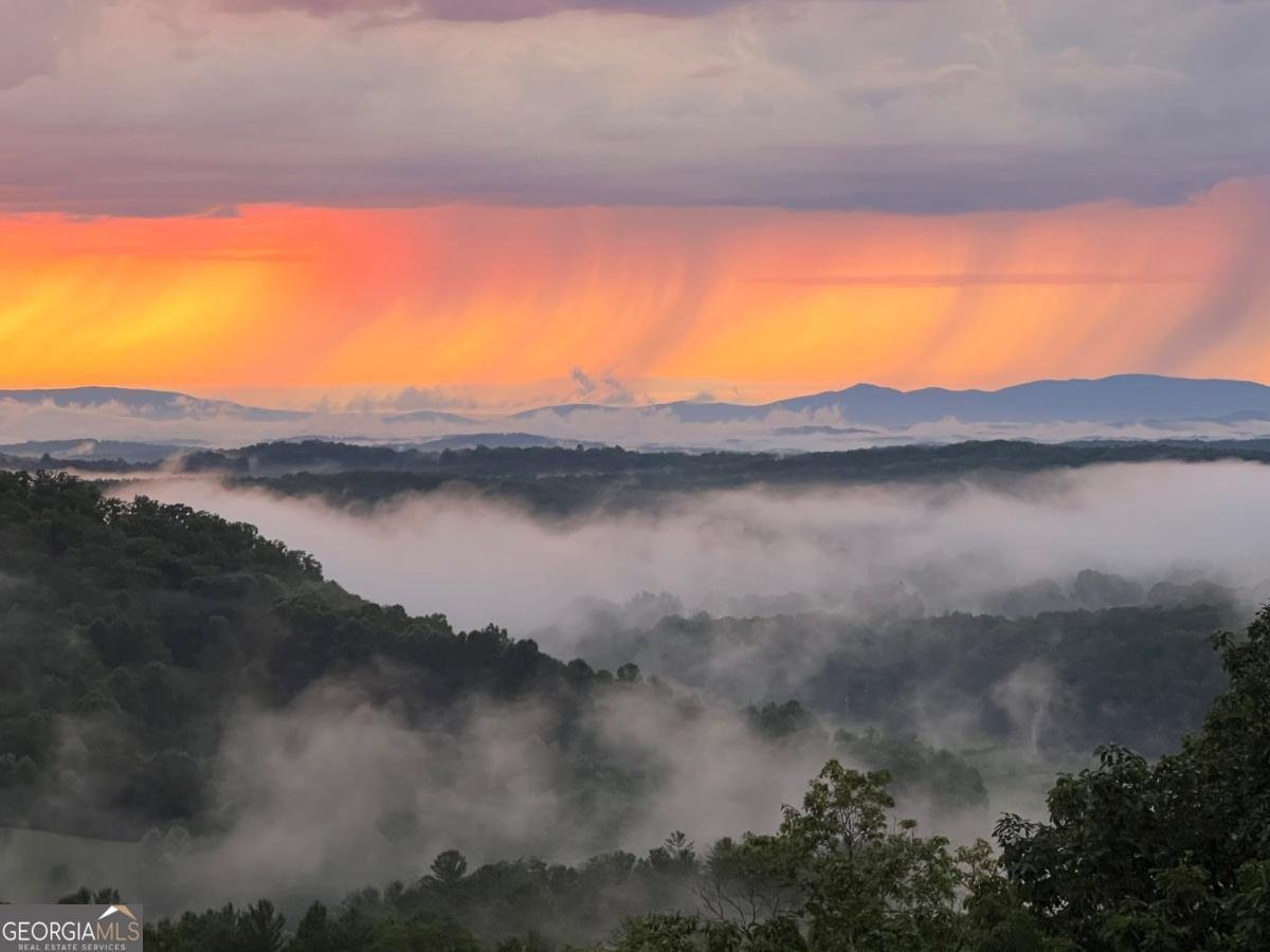 195 Hoot Owl Ridge Morganton - 48