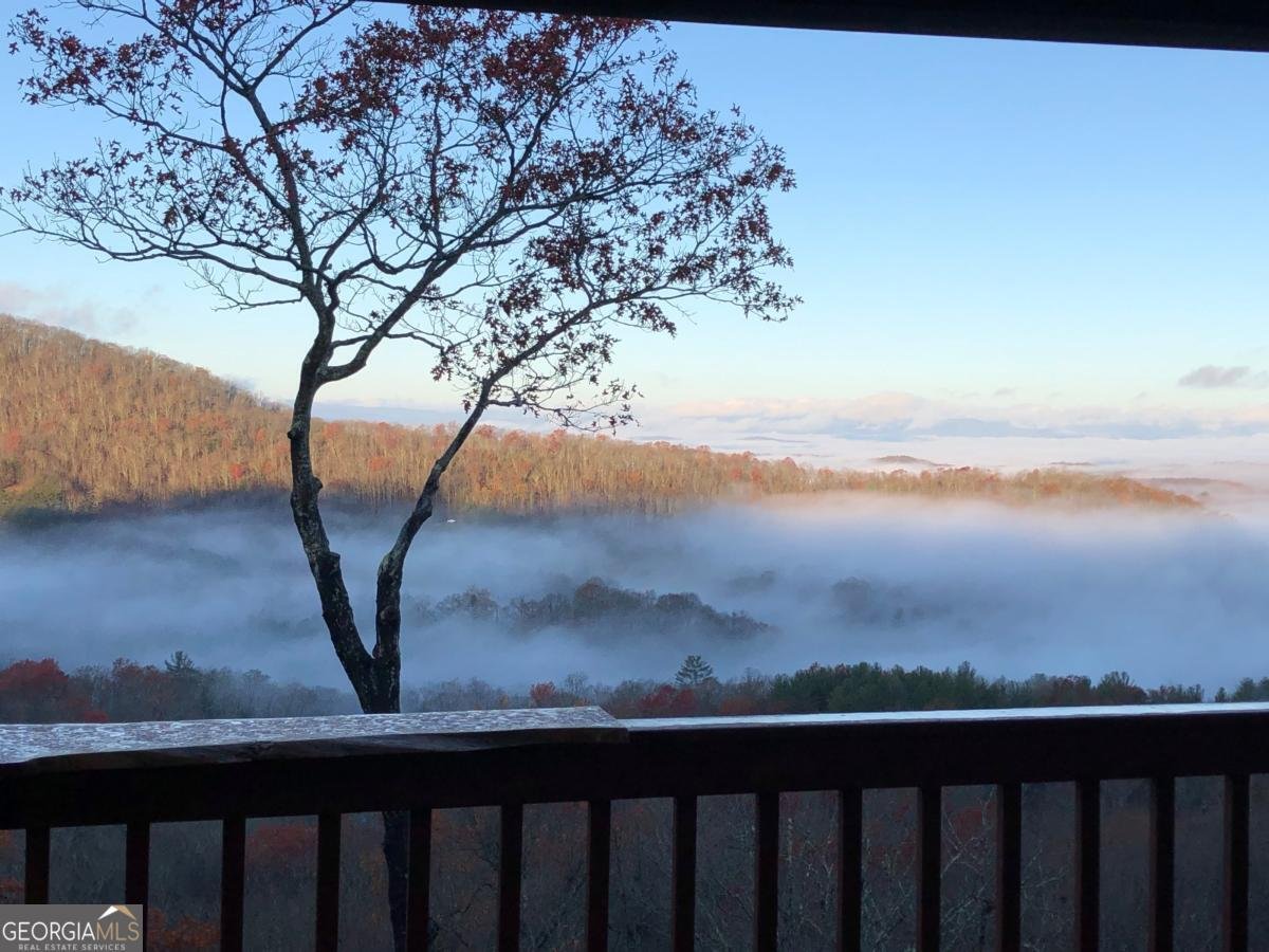 195 Hoot Owl Ridge Morganton - 50