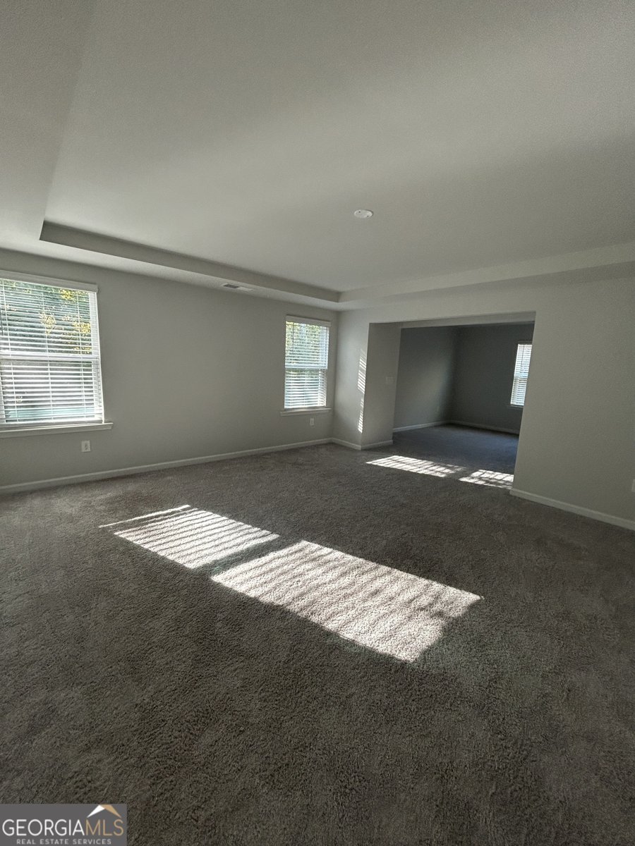 400 Paulownia Circle McDonough - 11