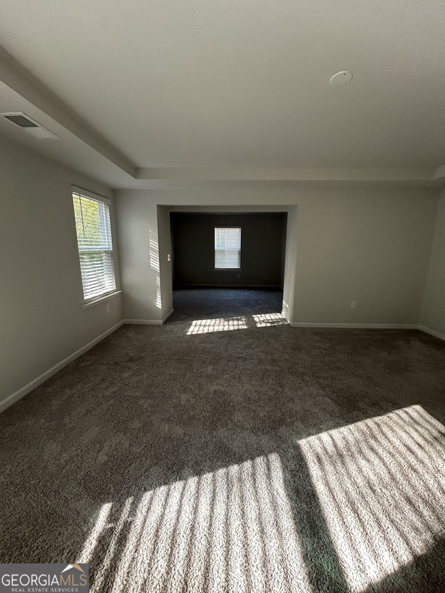 400 Paulownia Circle McDonough - 12