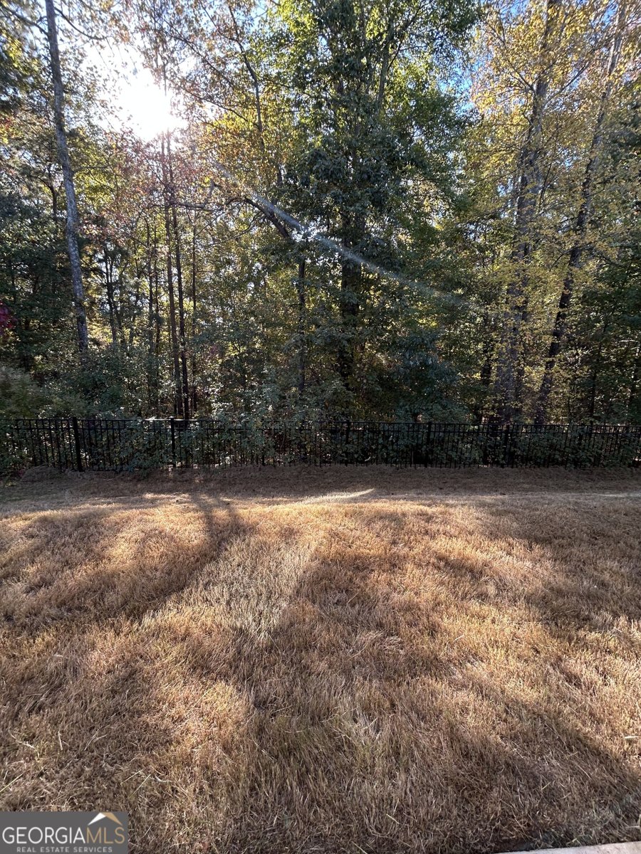 400 Paulownia Circle McDonough - 15