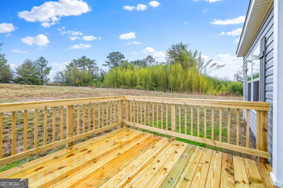 332 Mineral Springs Trail Demorest - 14