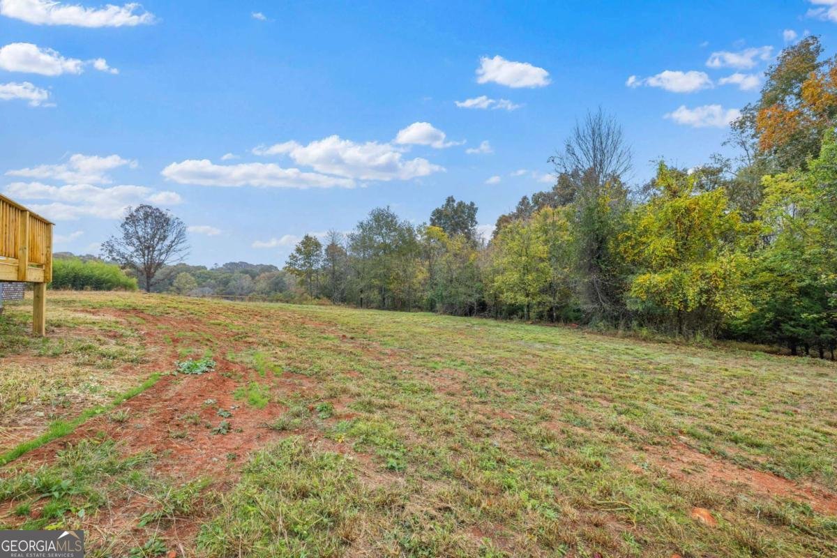 332 Mineral Springs Trail Demorest - 15