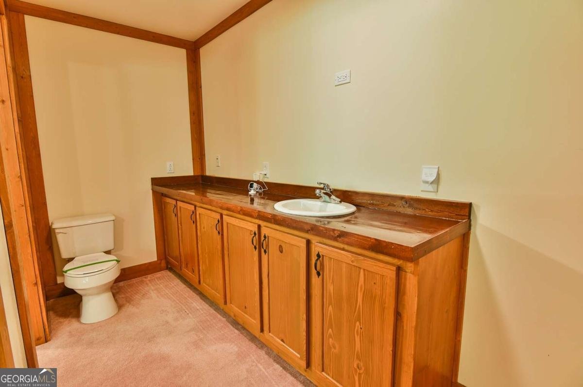 1163 Nickville Road Elberton - 20