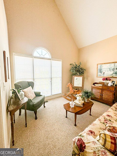 1550 Laurelhill Drive Lawrenceville - 36