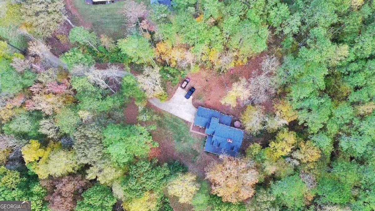 1826 Austin Bridge Road Douglasville - 38