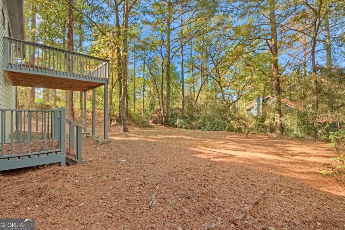 4173 Panola Road Lithonia - 27