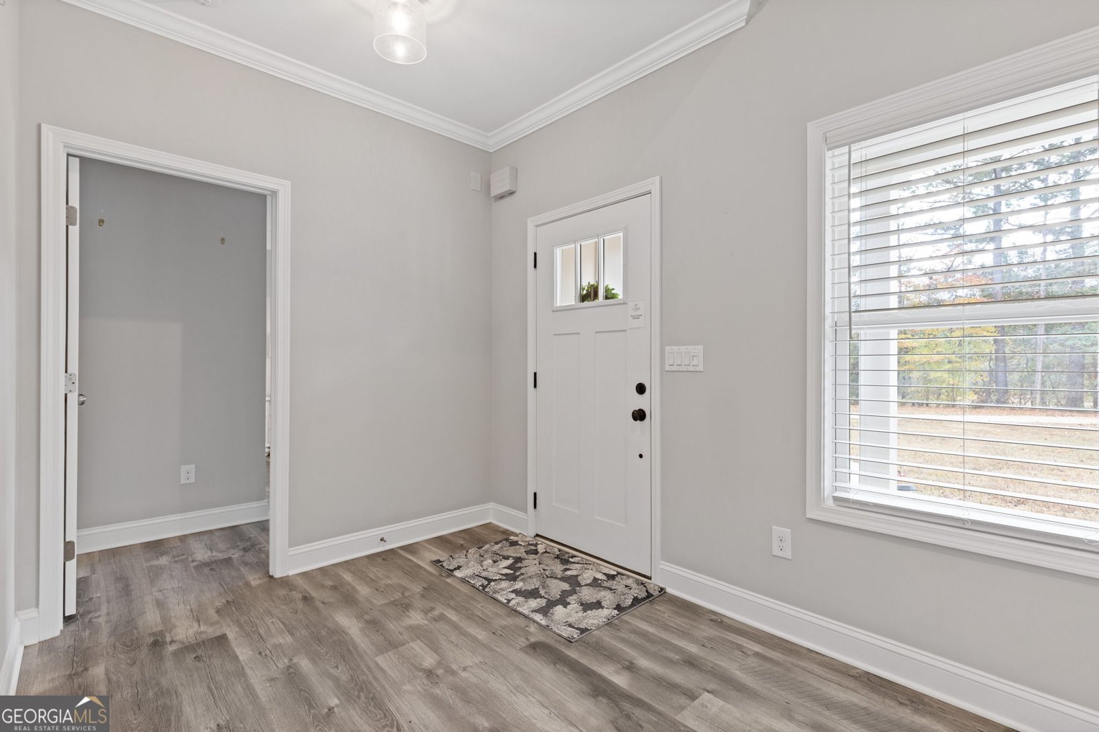 4201 Holly Springs Road Gillsville - 5