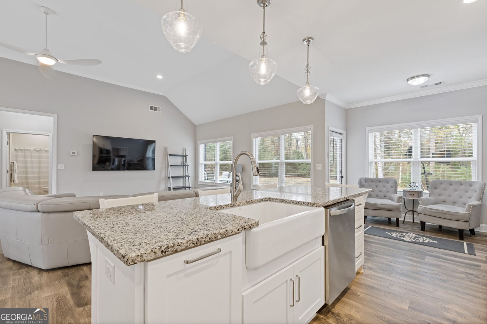 4201 Holly Springs Road Gillsville - 8