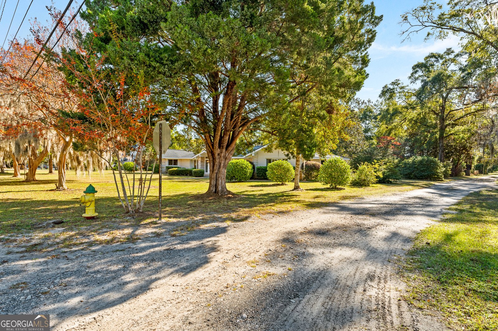 904 Ash Street Springfield - 10