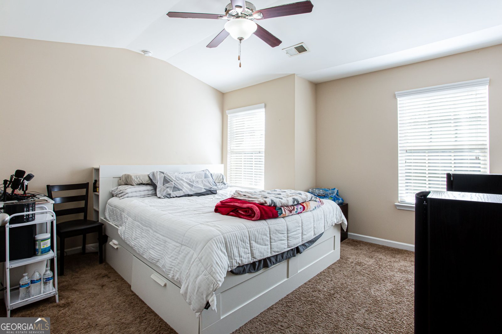 137 Dustin Drive Stockbridge - 24