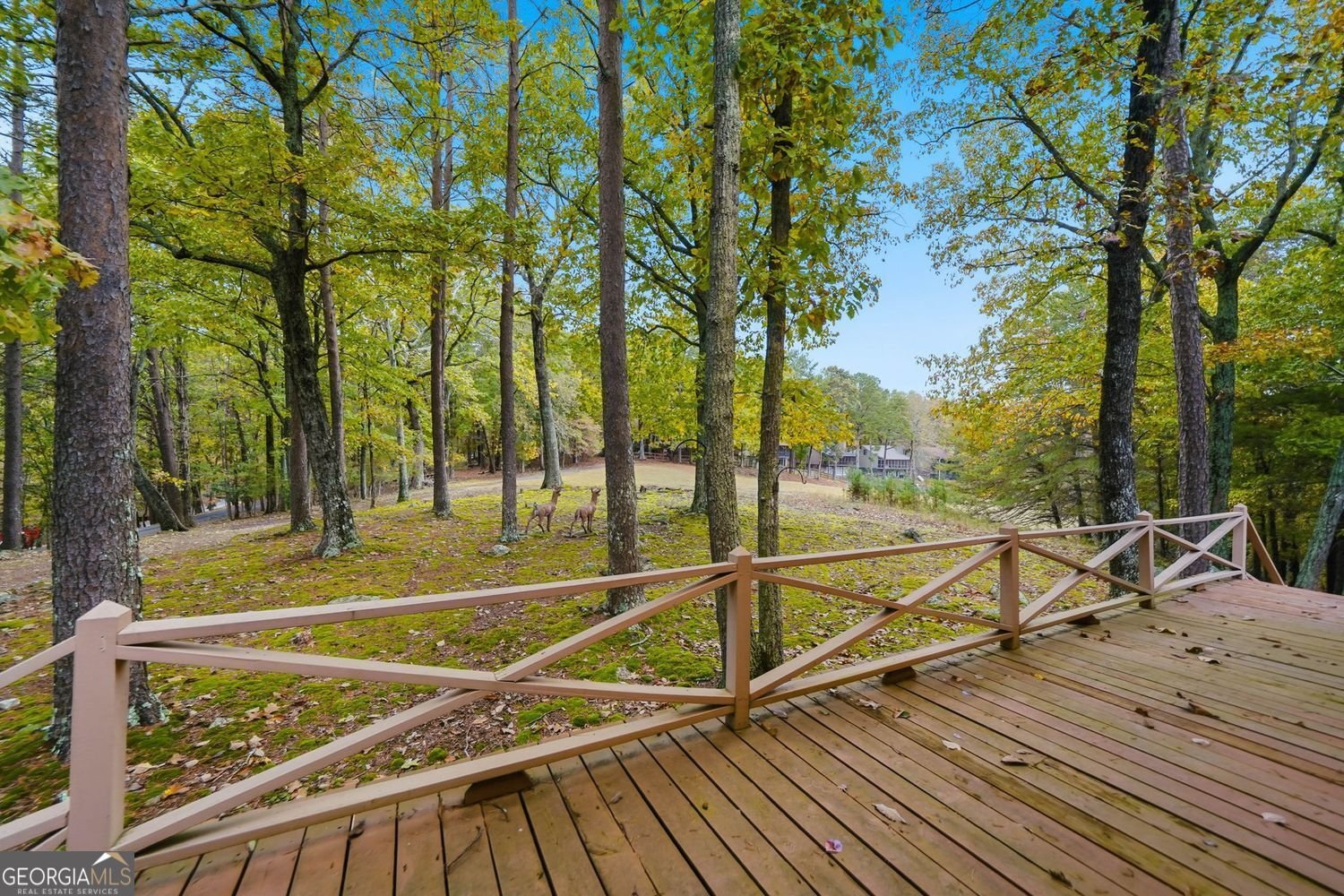 114 Cherokee Drive Waleska - 41