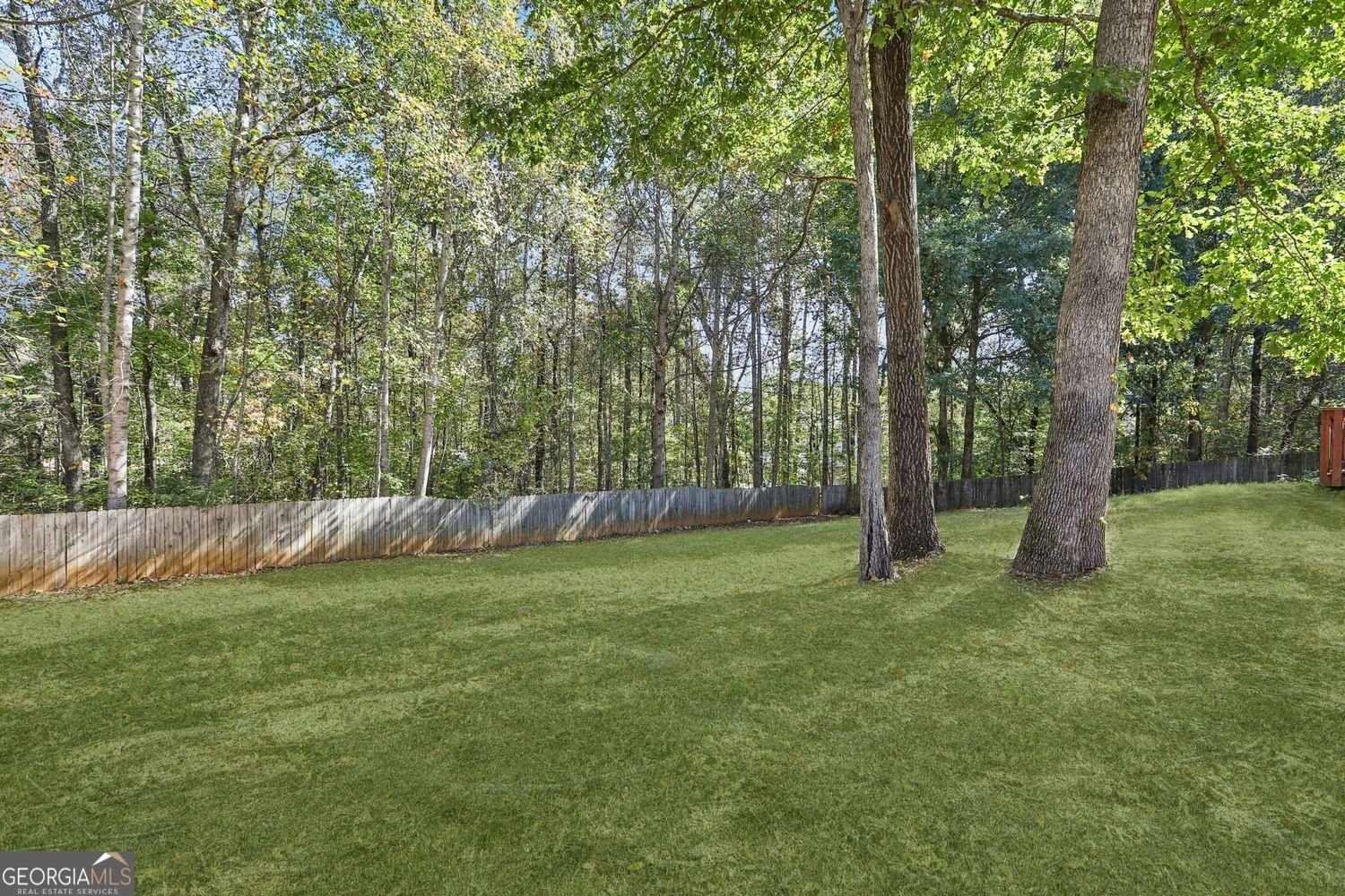 255 Squire Lane Fayetteville - 47