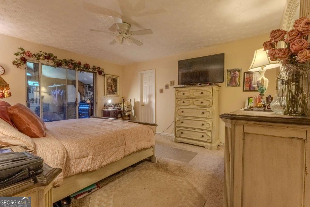 3919 Mccullers Road Loganville - 18