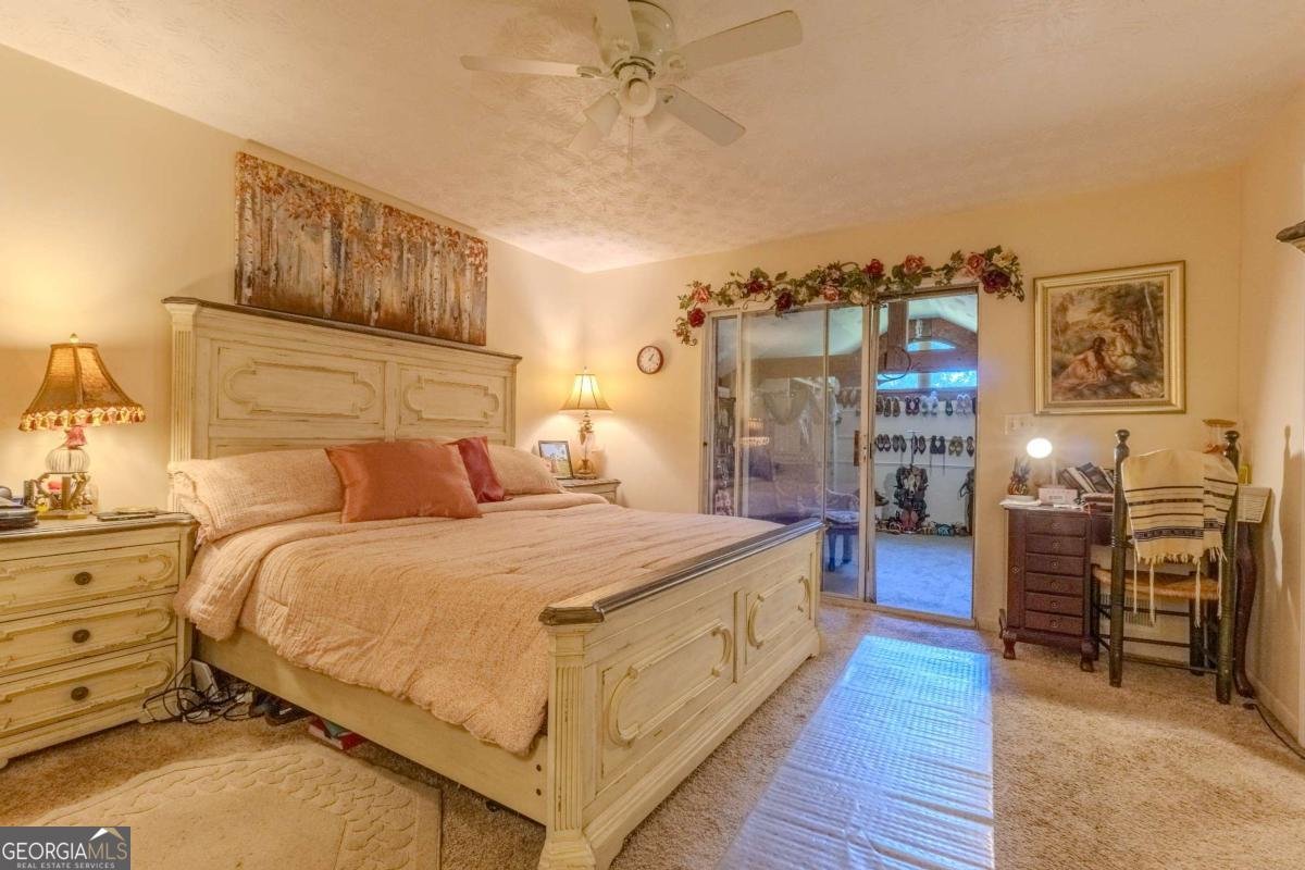 3919 Mccullers Road Loganville - 19