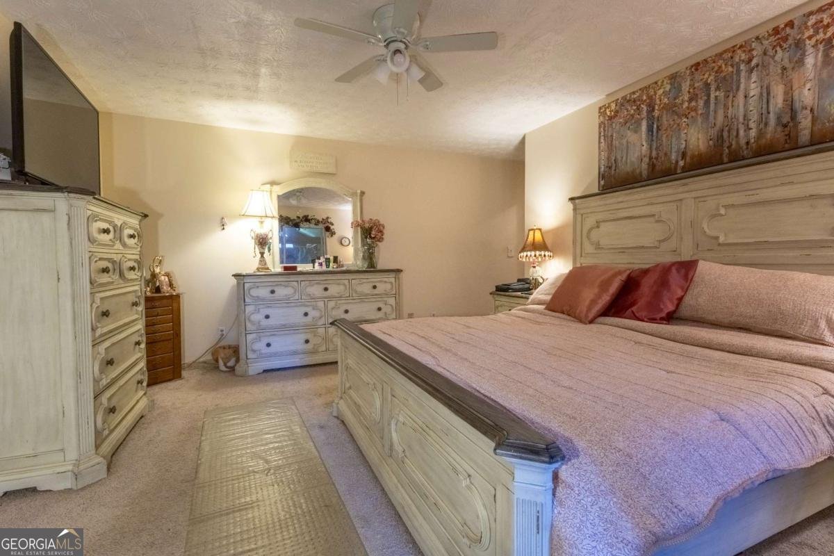 3919 Mccullers Road Loganville - 23