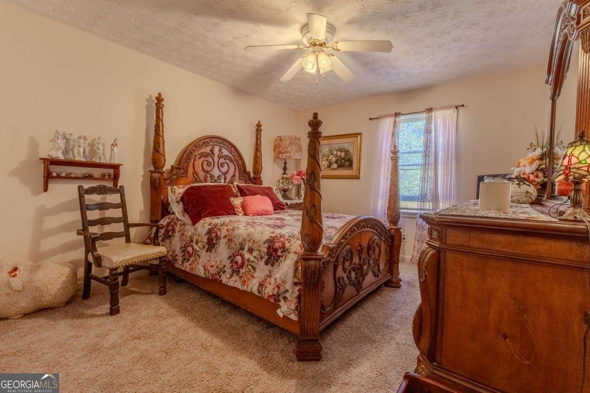 3919 Mccullers Road Loganville - 30