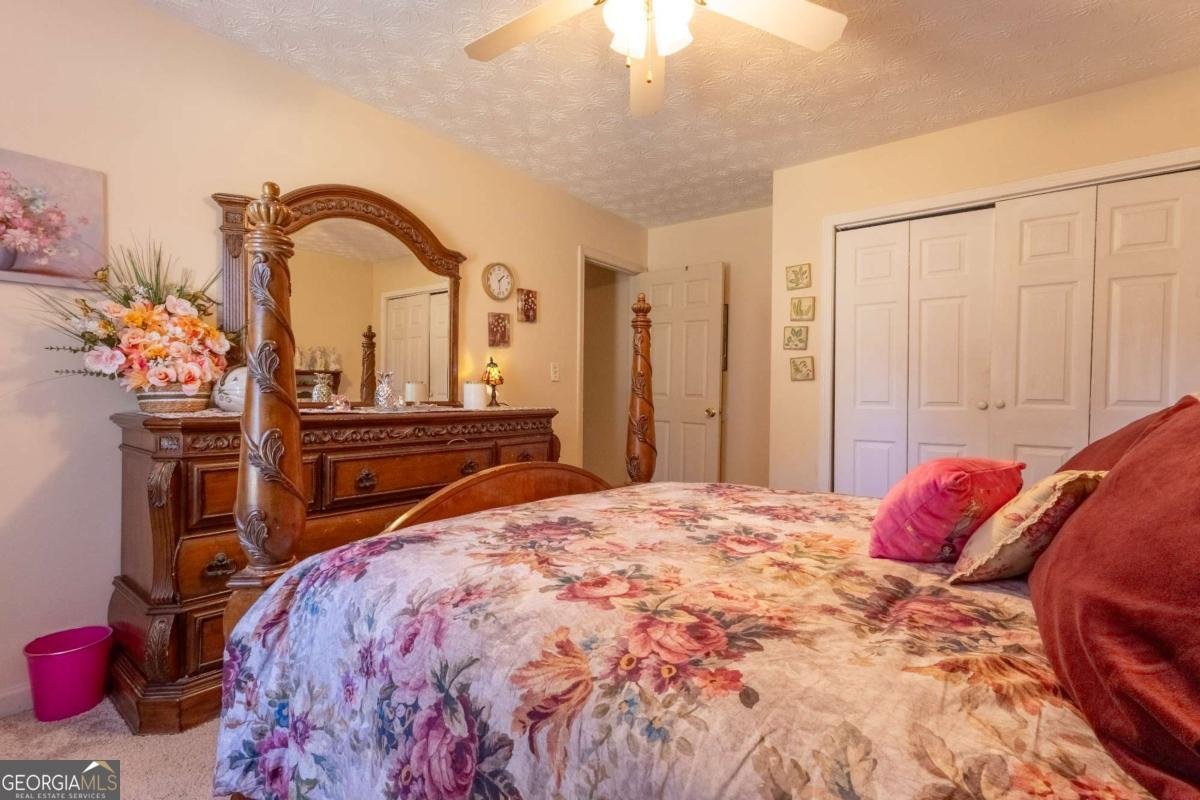 3919 Mccullers Road Loganville - 31