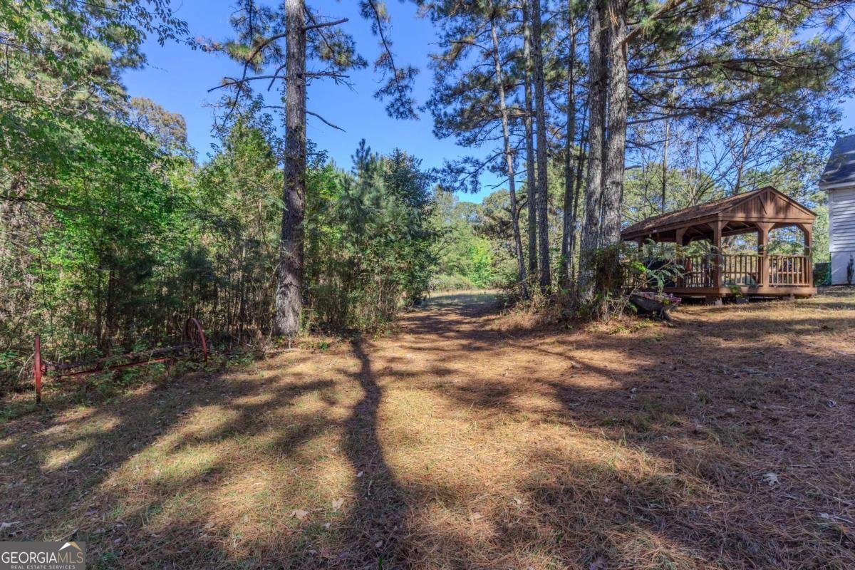 3919 Mccullers Road Loganville - 32