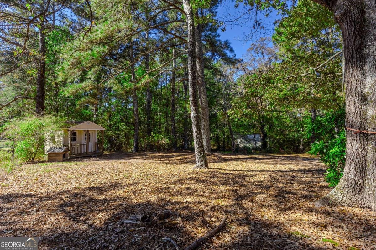 3919 Mccullers Road Loganville - 35