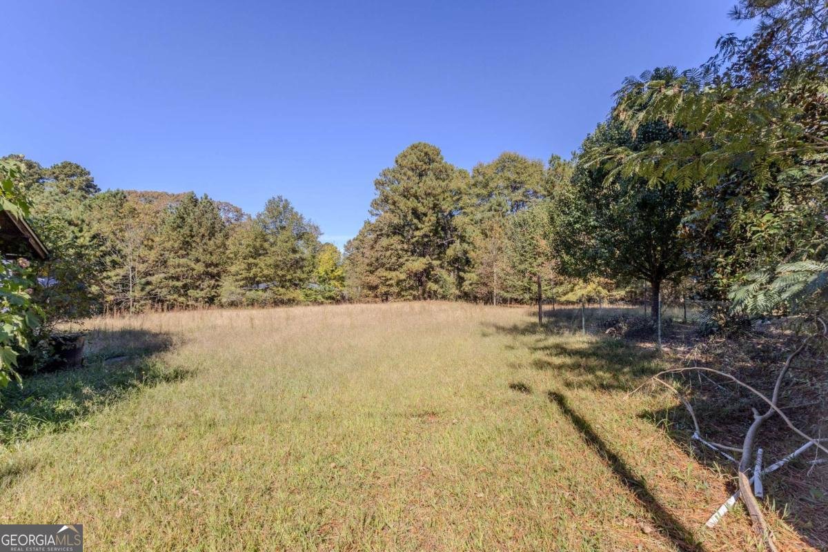 3919 Mccullers Road Loganville - 36