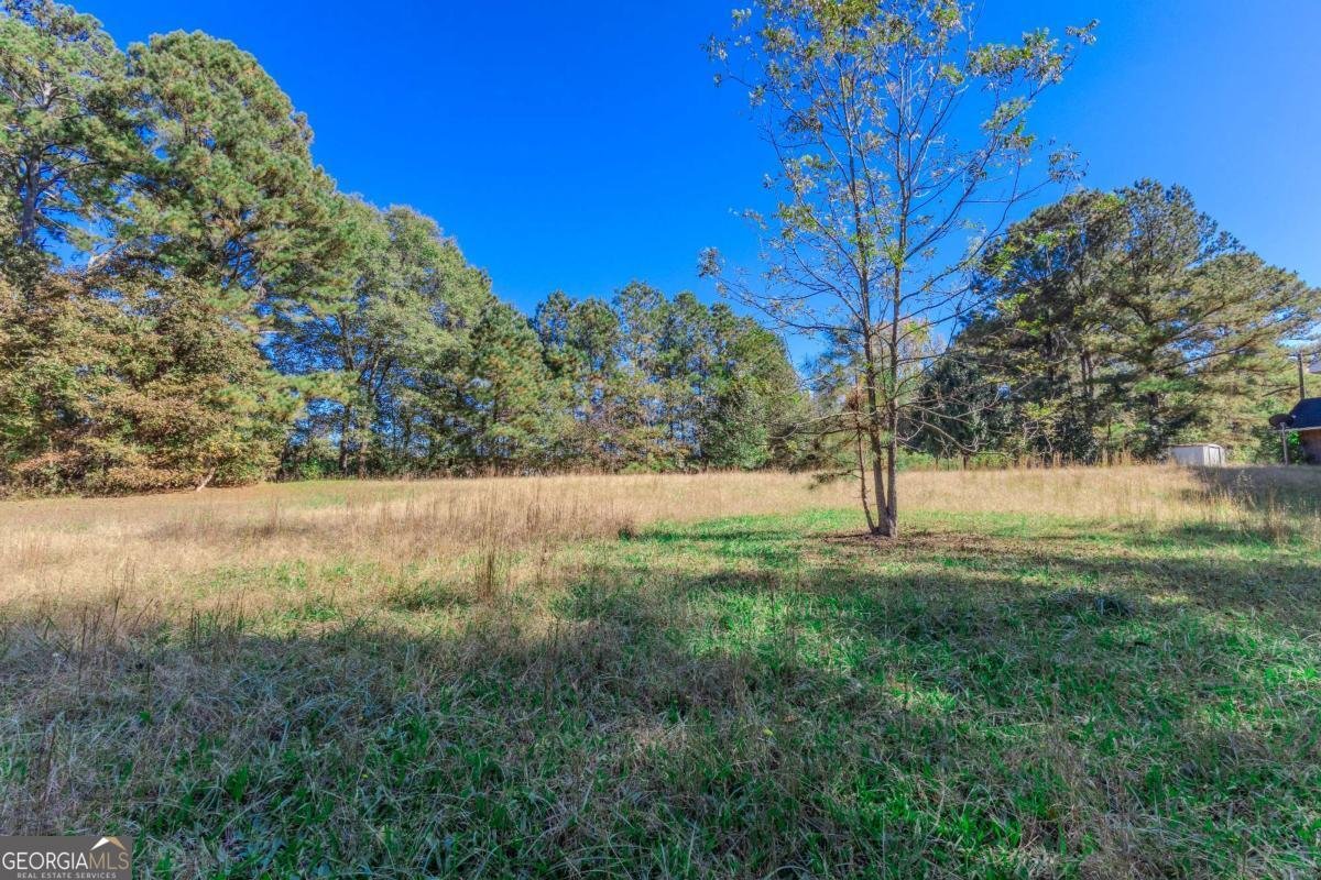 3919 Mccullers Road Loganville - 37