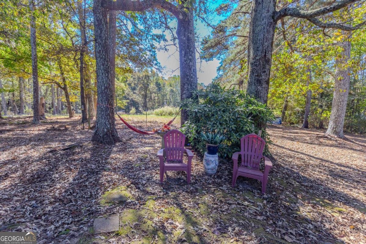 3919 Mccullers Road Loganville - 39