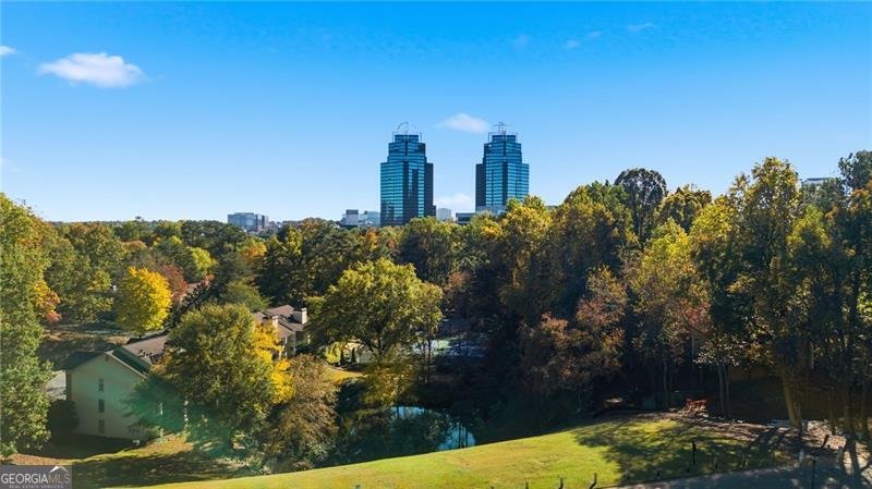 78 Dunwoody Springs Drive Atlanta - 36